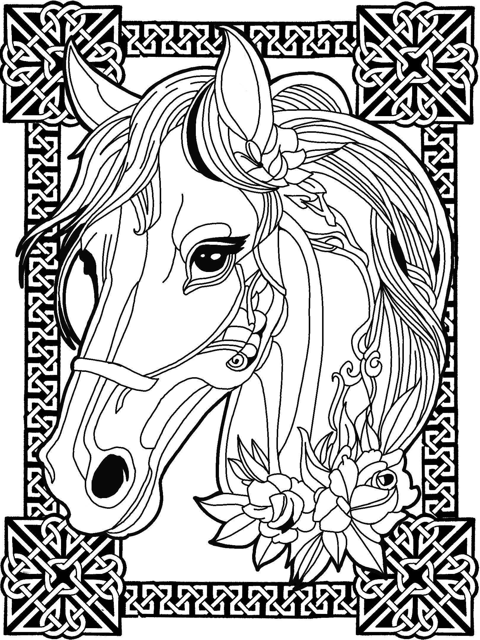 Horse