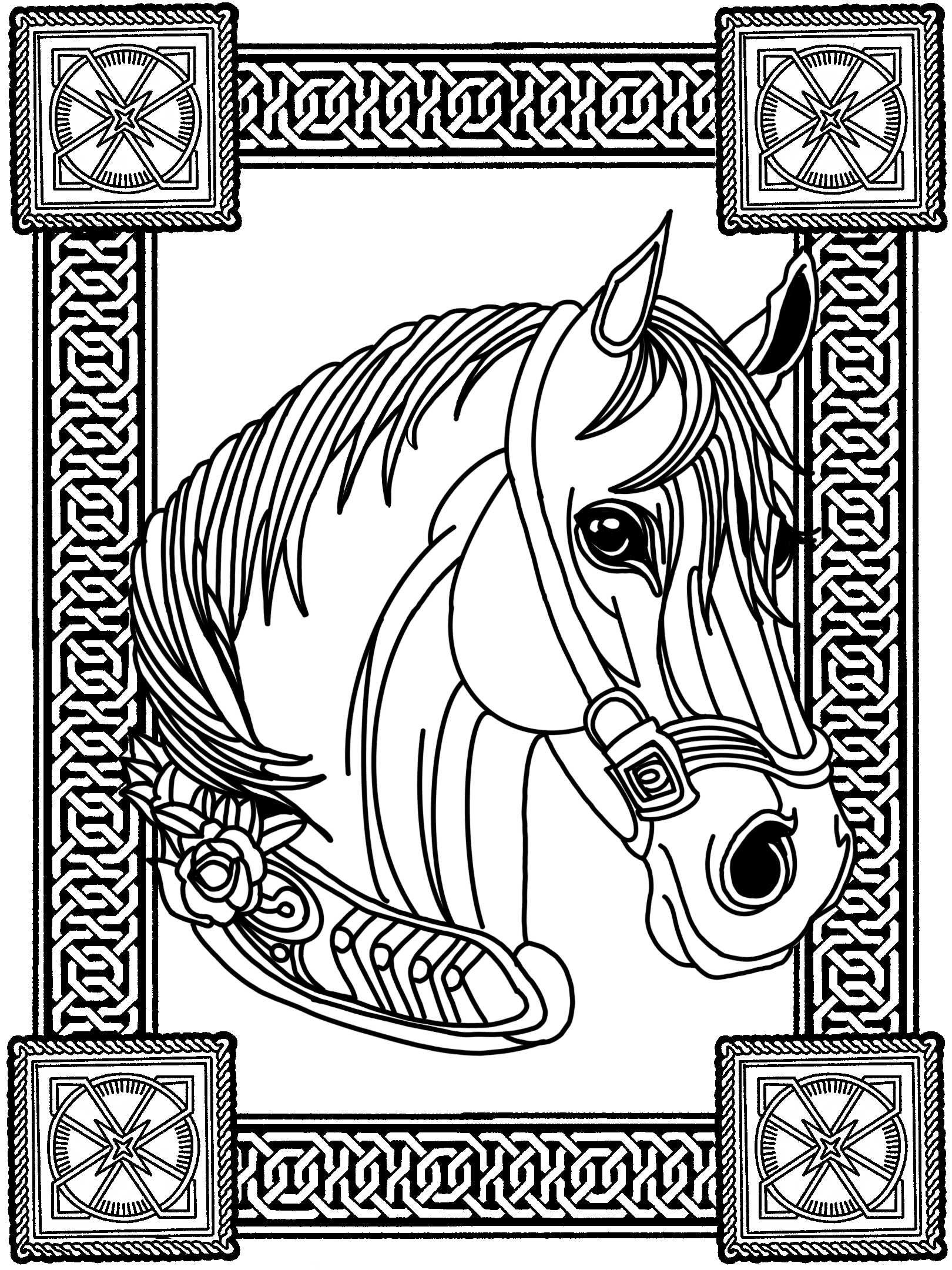 Draft Horse