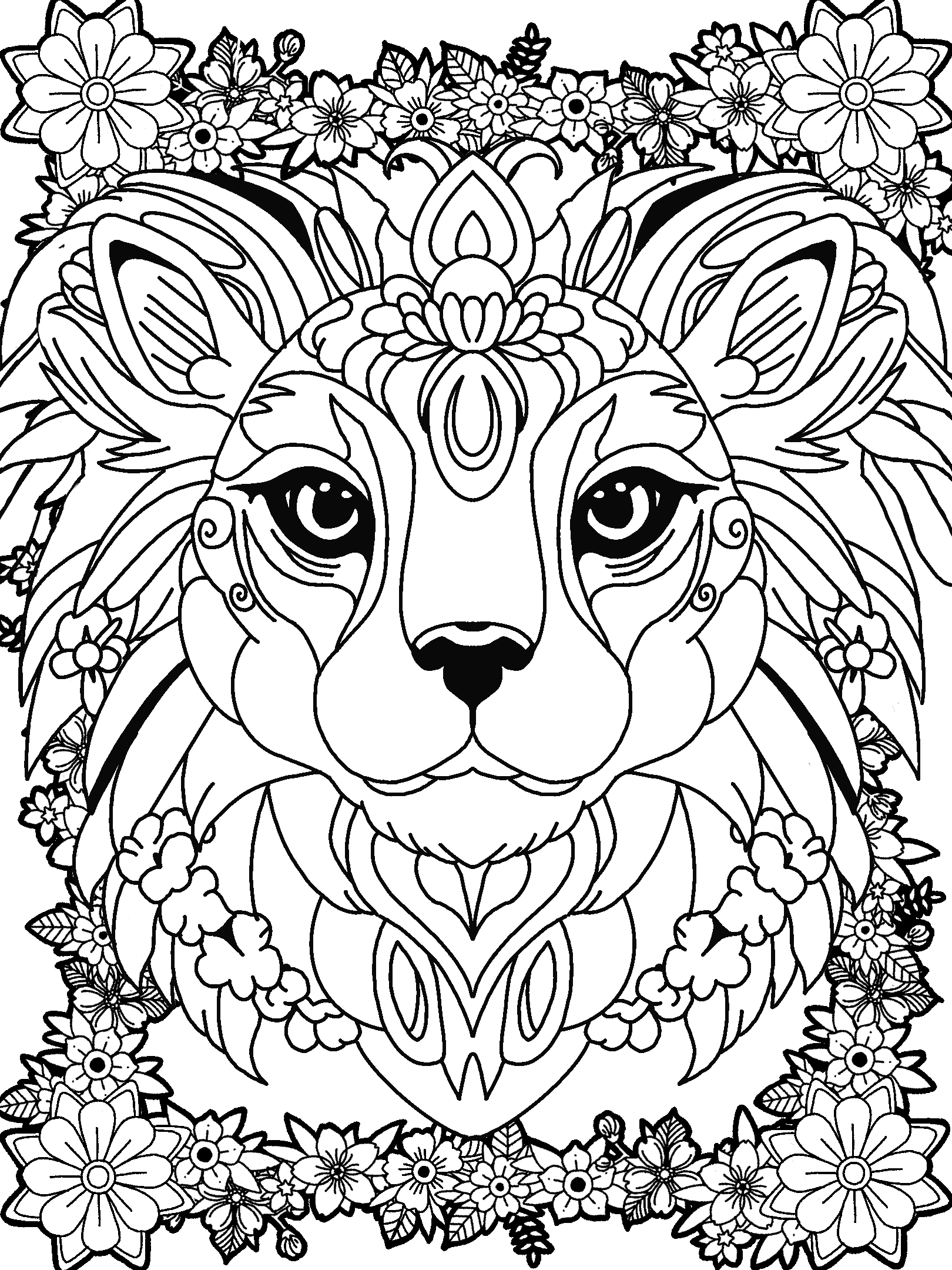 Wild Cat