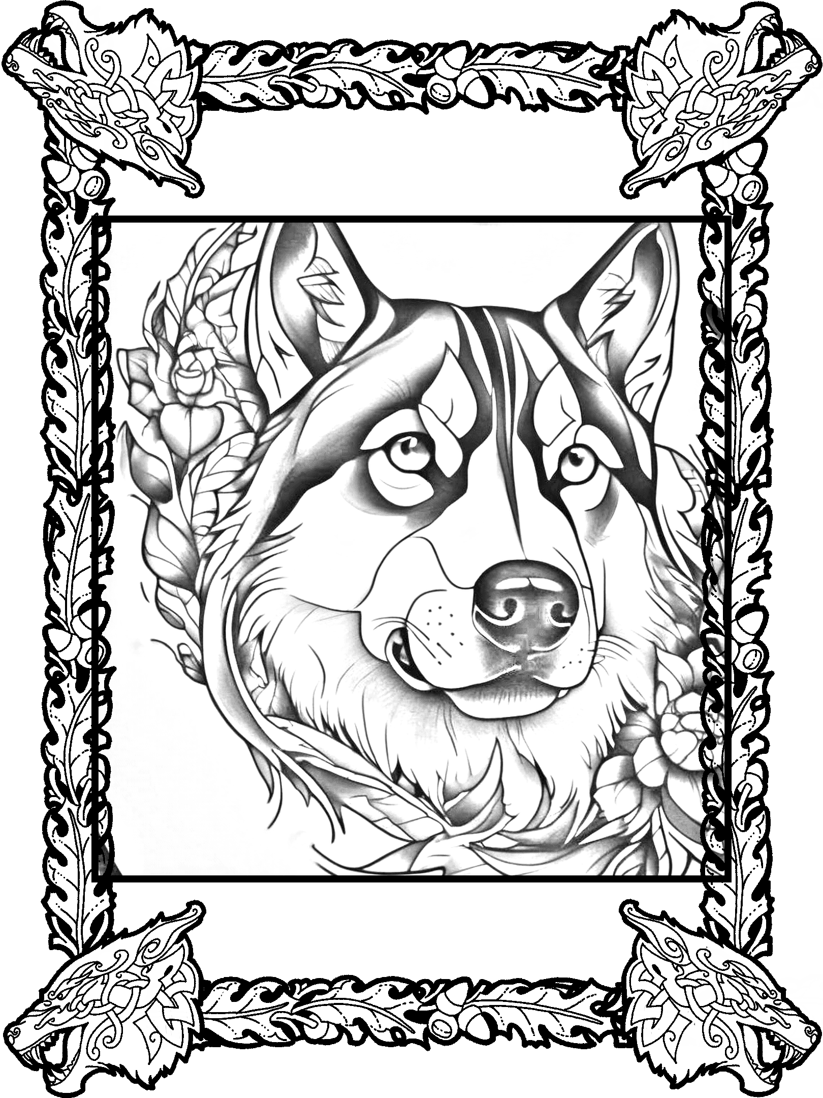 Husky No. 8