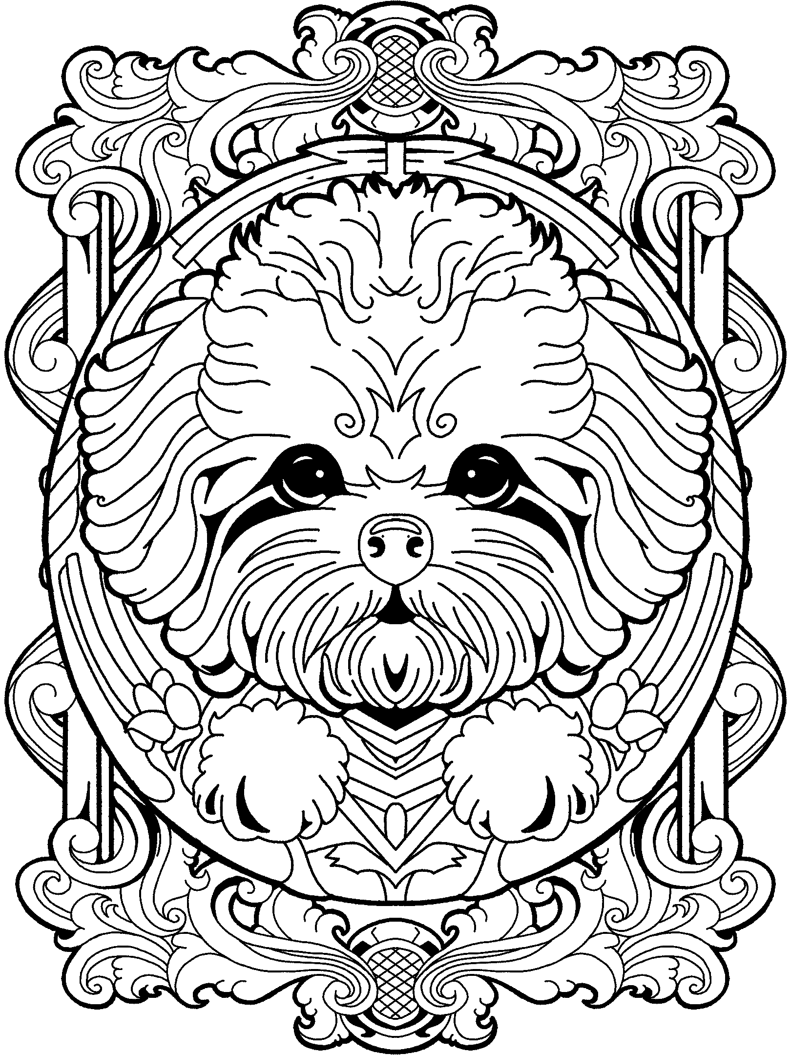 Bichon No. 1