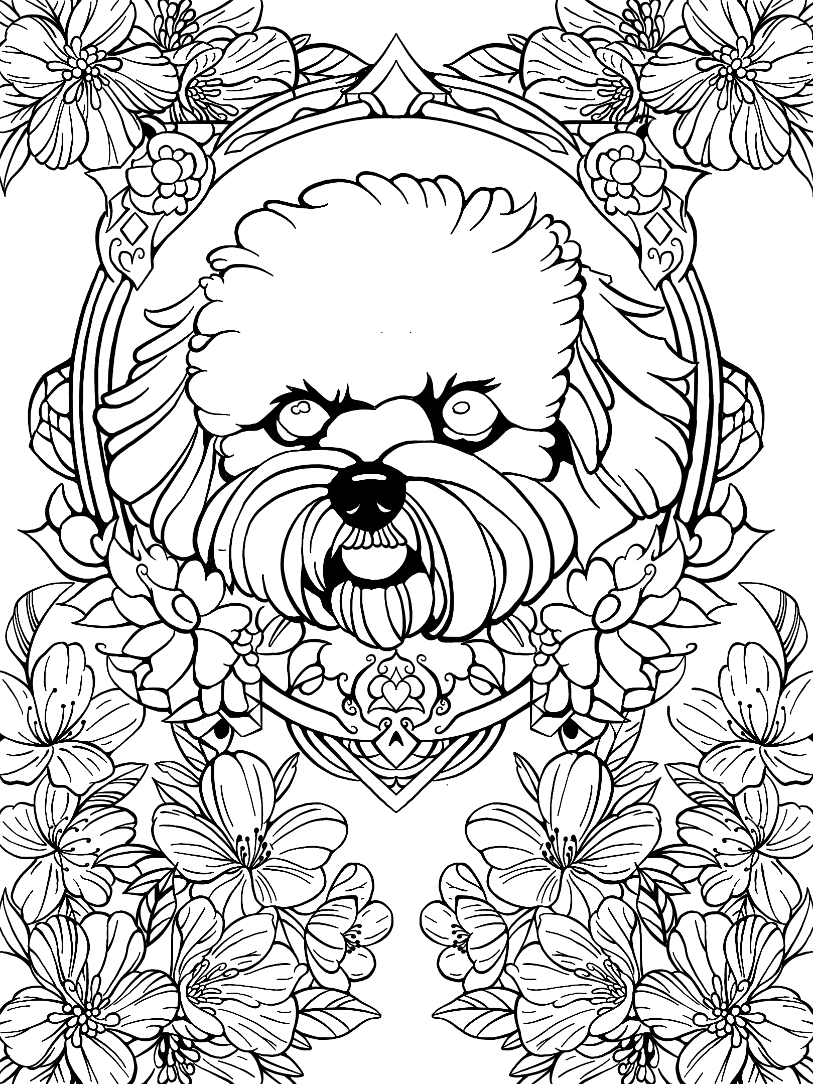 Bichon No. 3