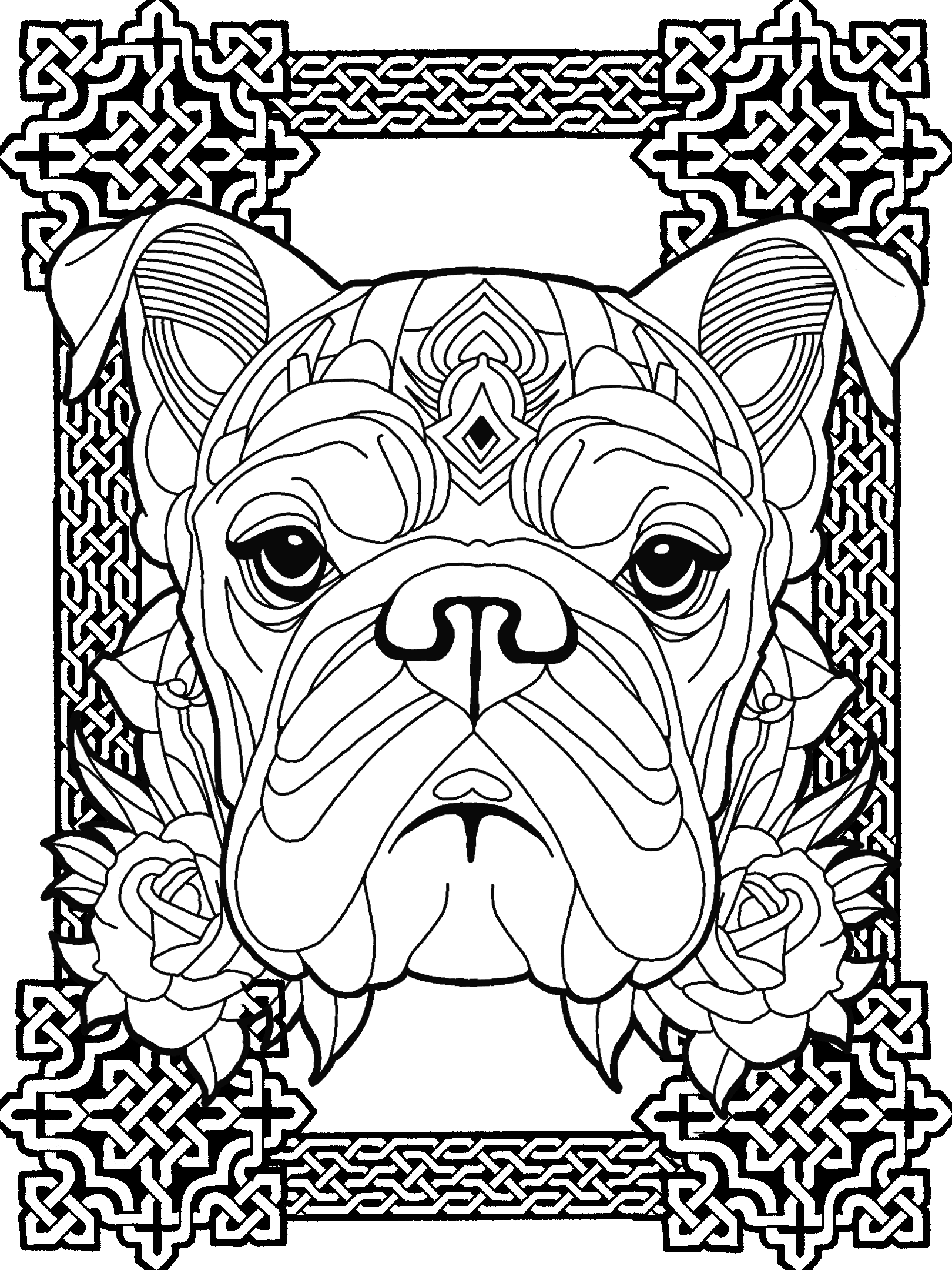 Bulldog