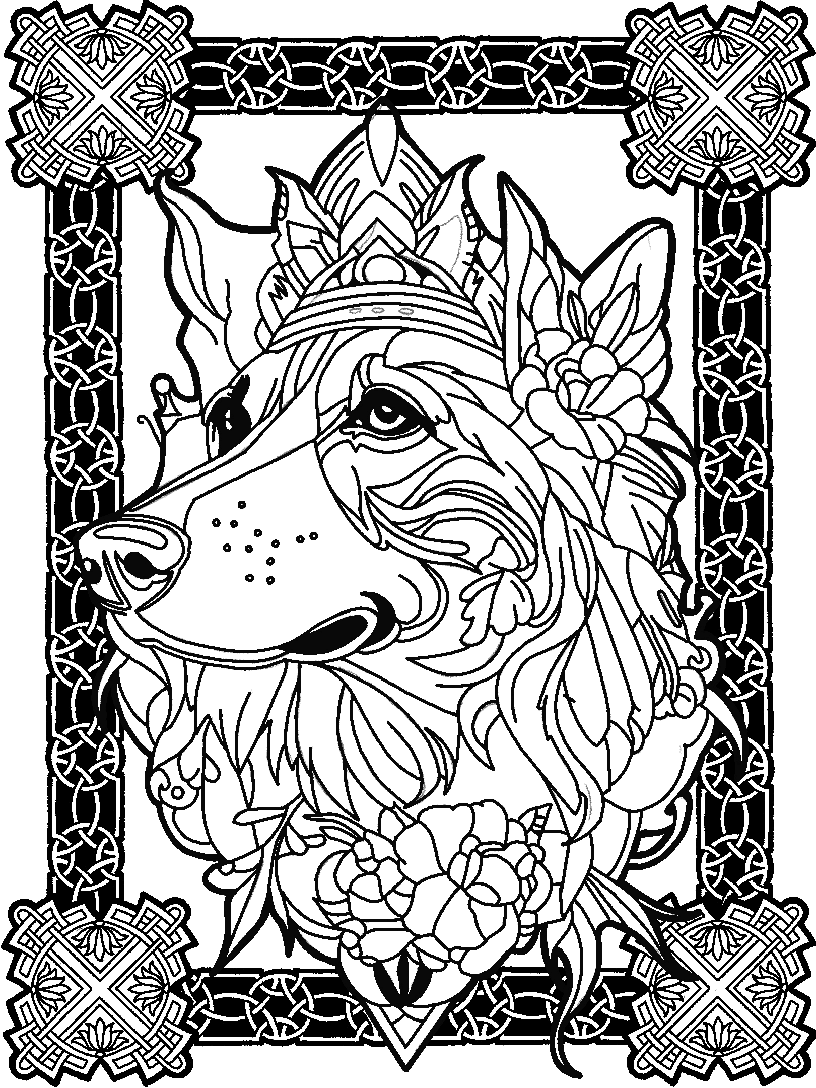 Collie