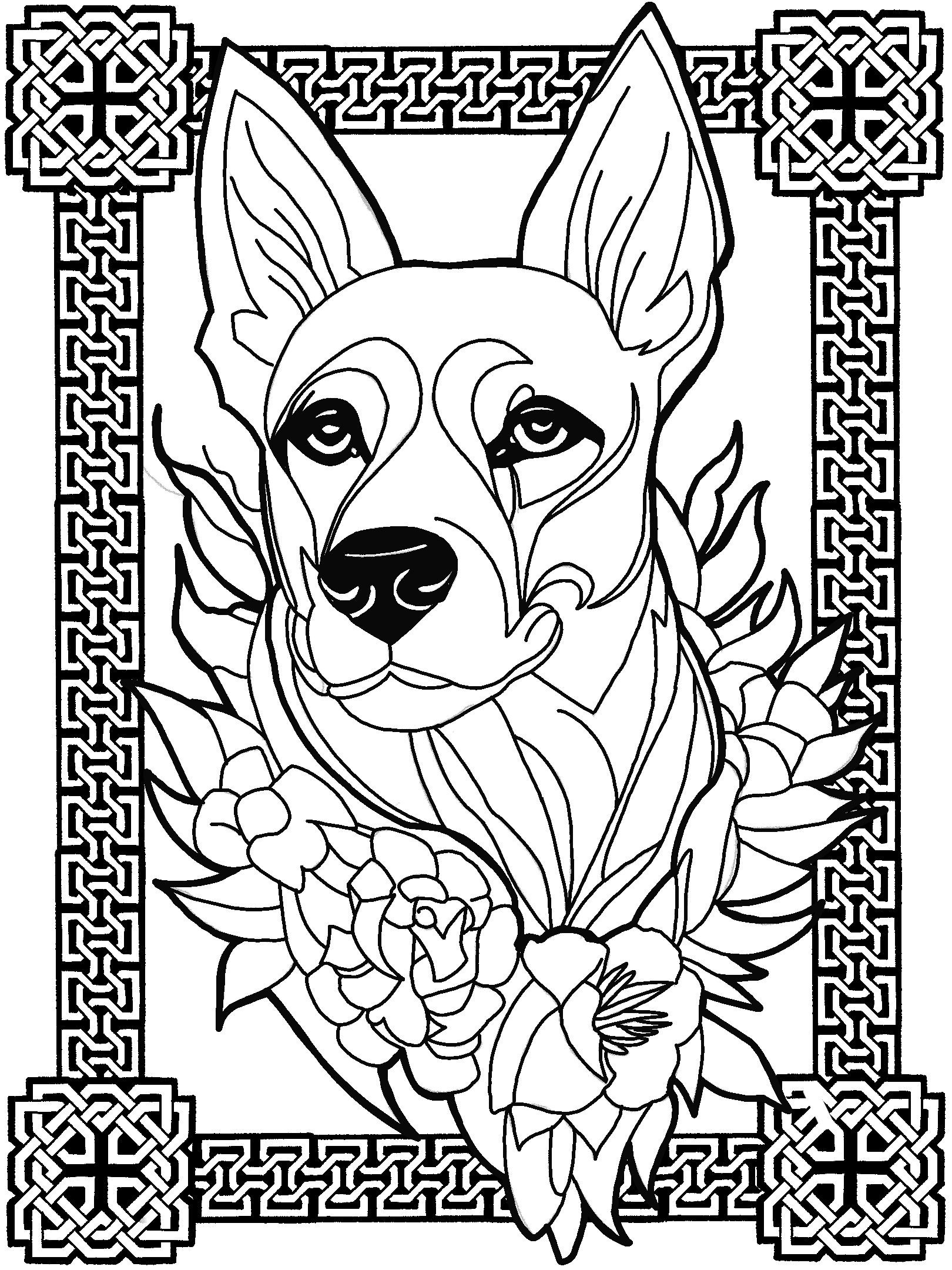 German Shepherd