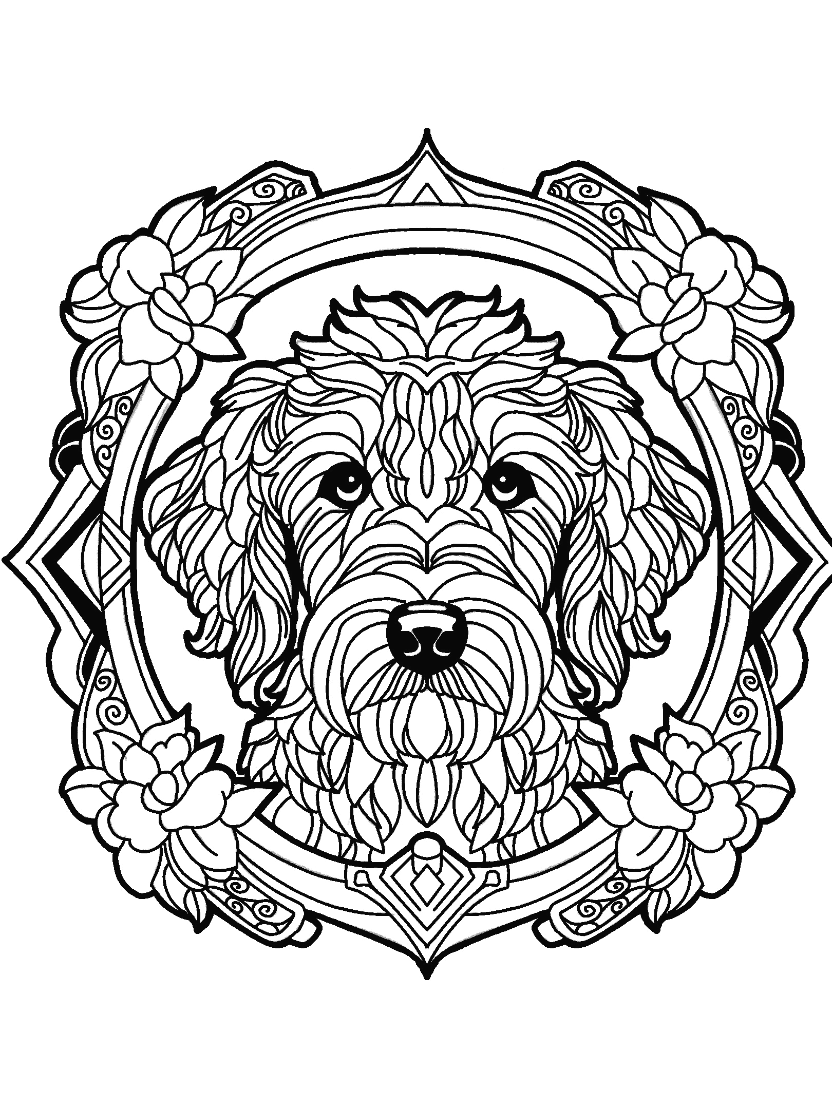 Goldendoodle
