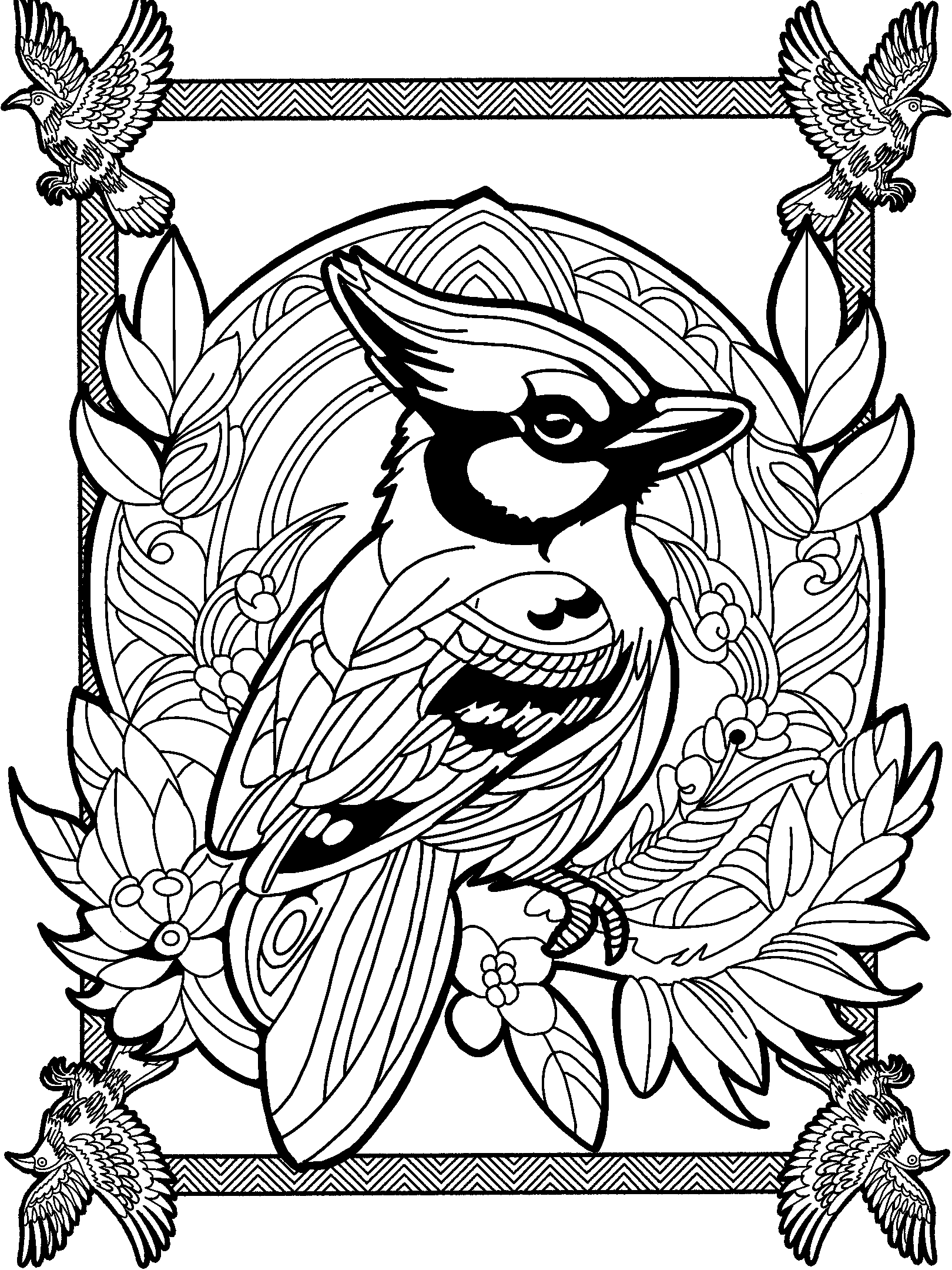 Blue Jay