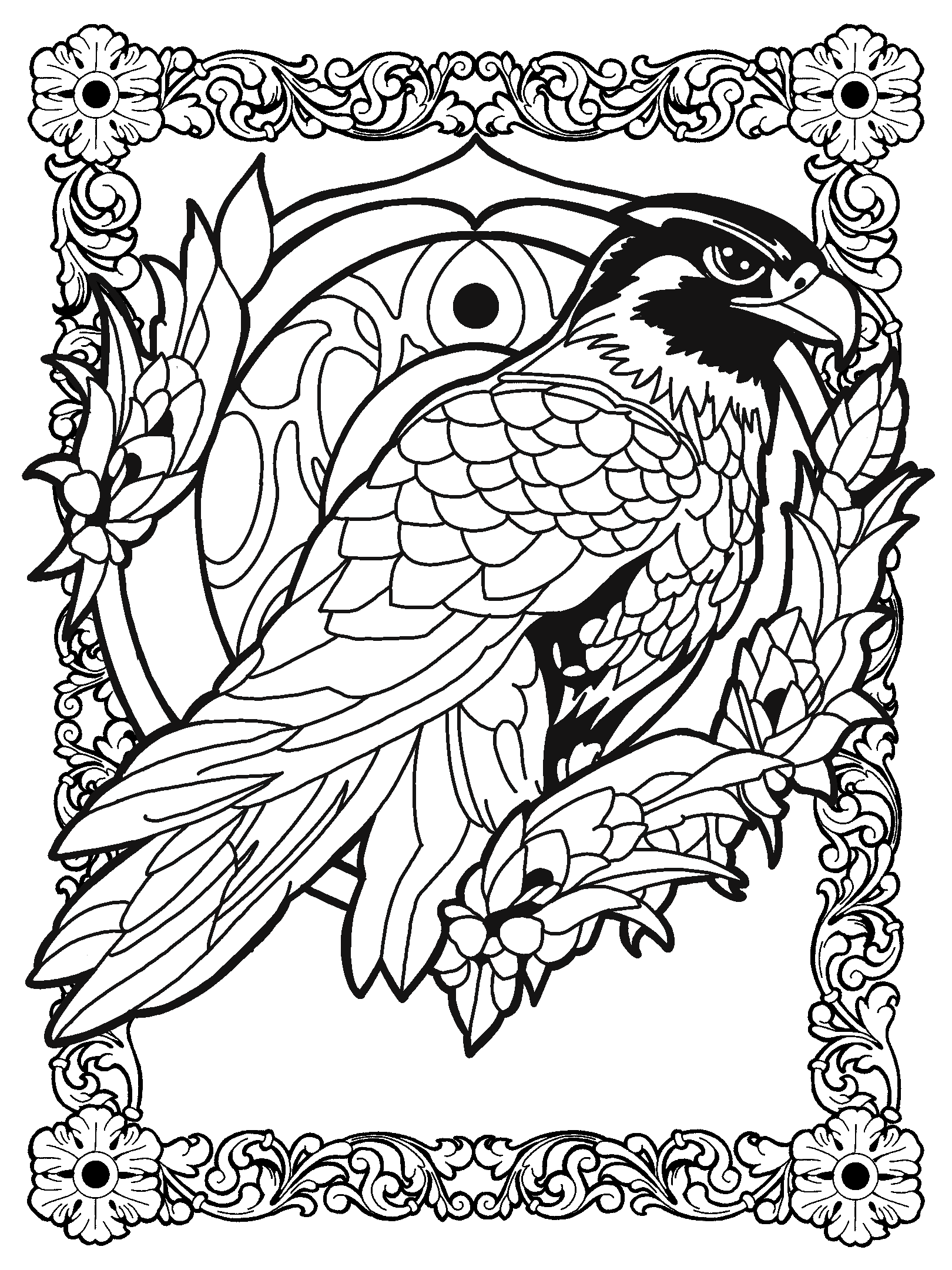 Hawk