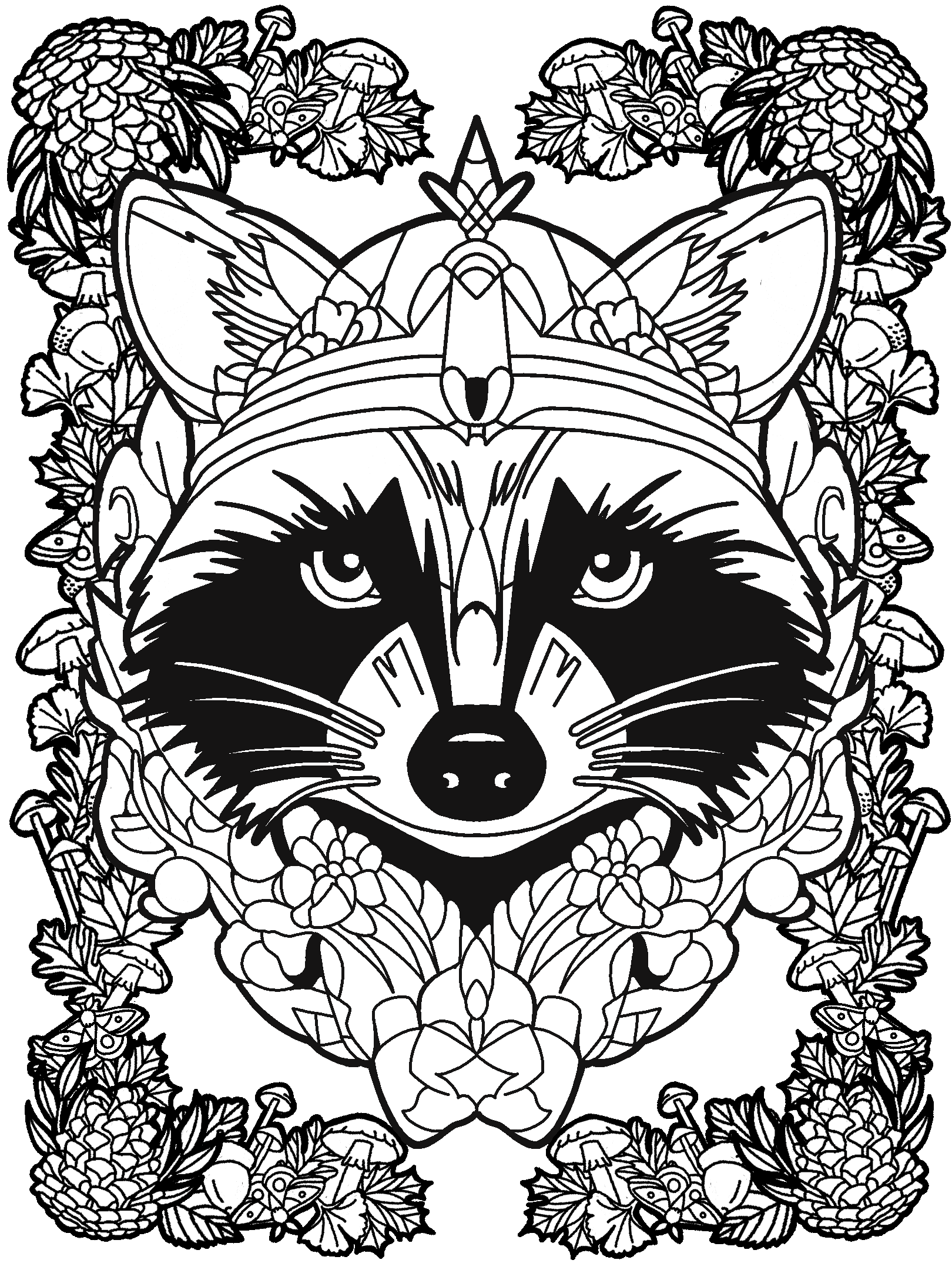 Raccoon No. 1