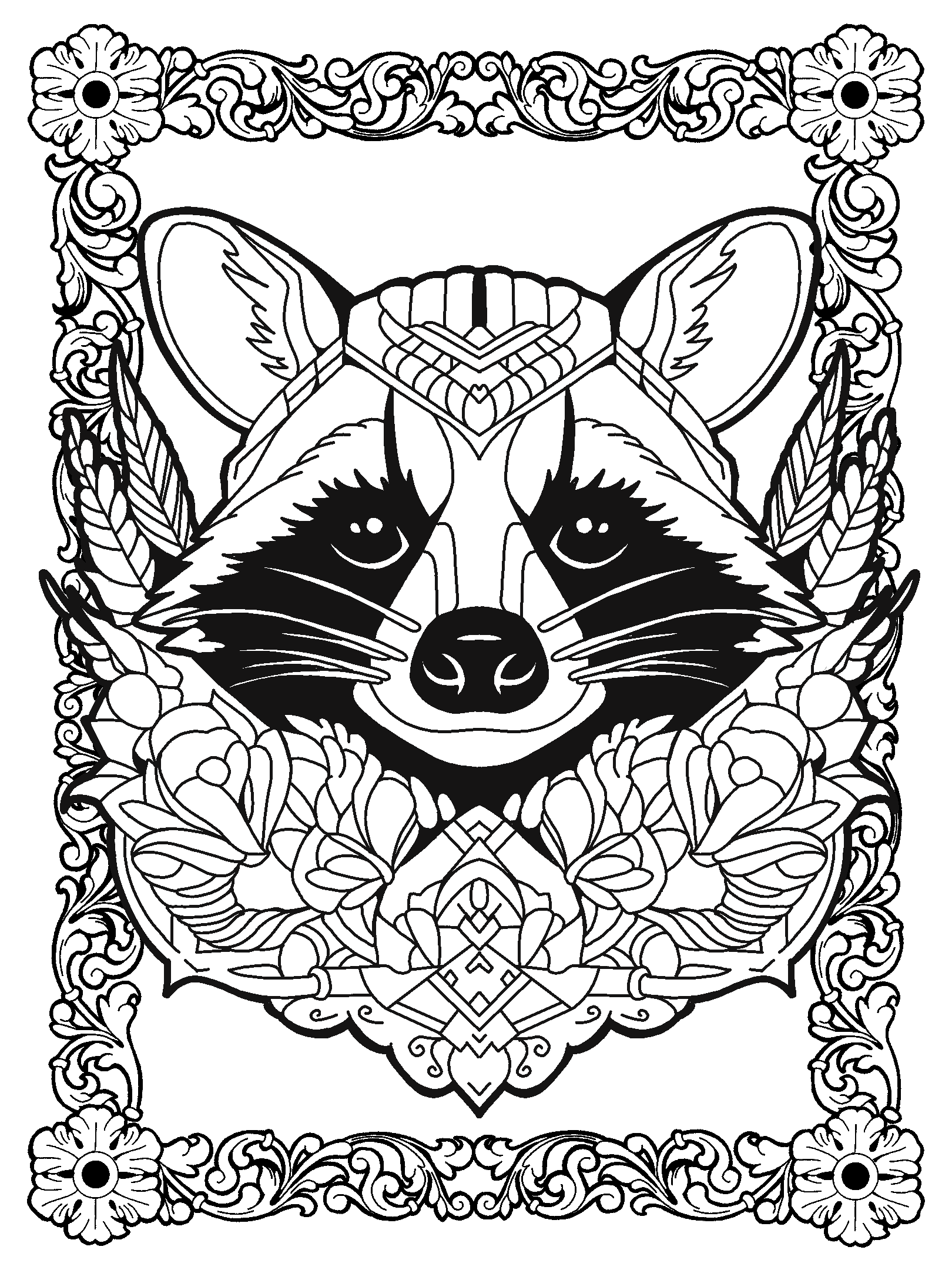 Raccoon No. 2