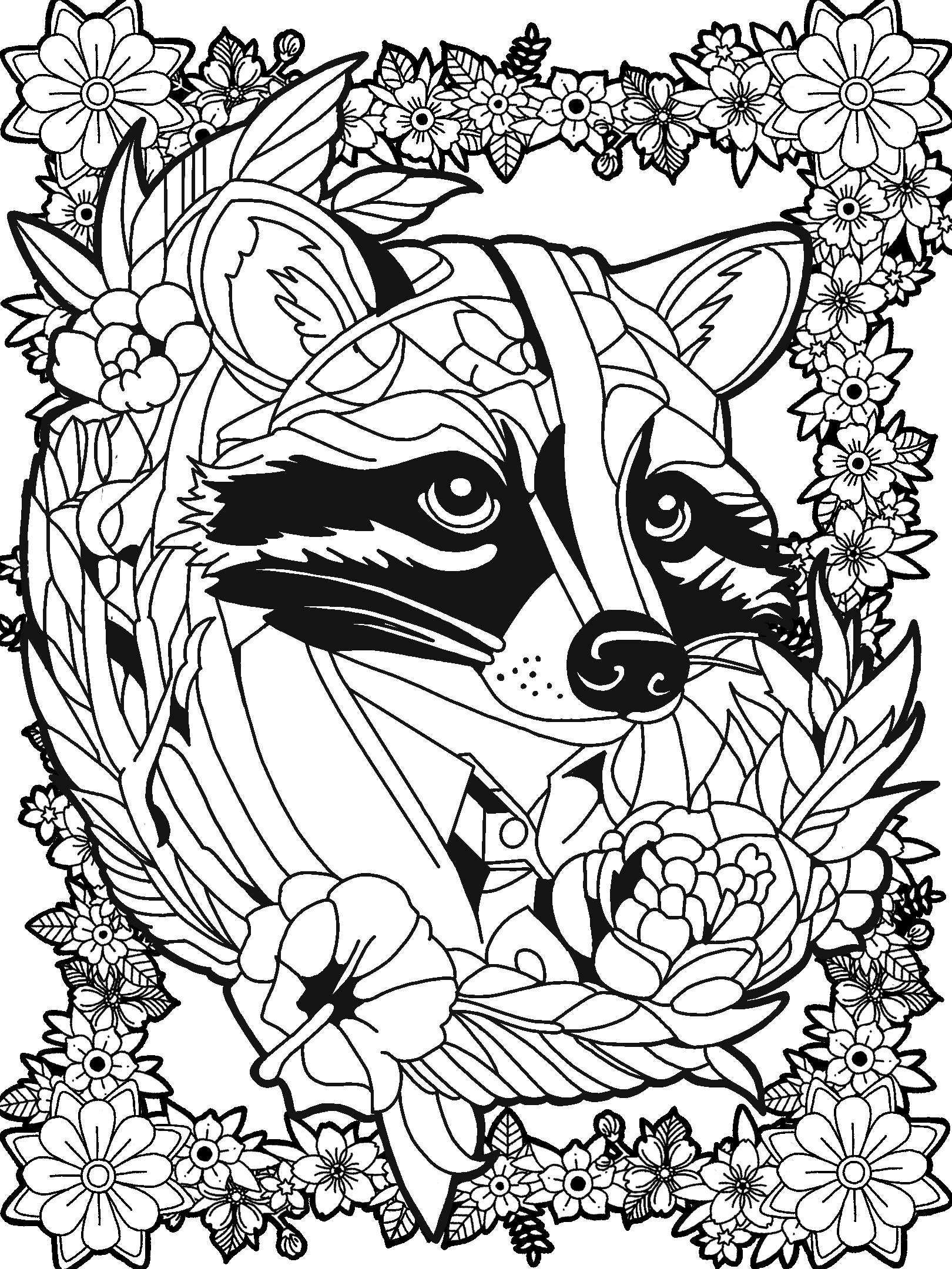 Raccoon No. 3