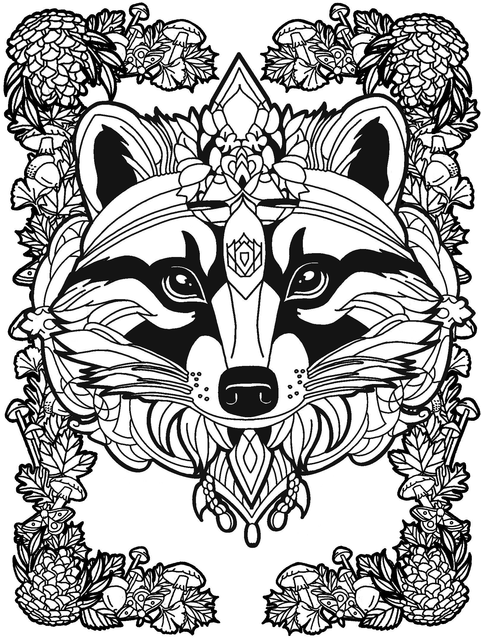 Raccoon No. 4