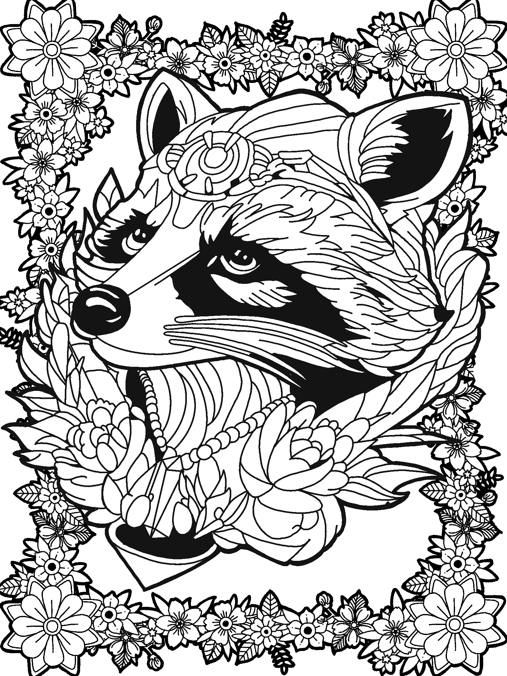 Raccoon No. 5