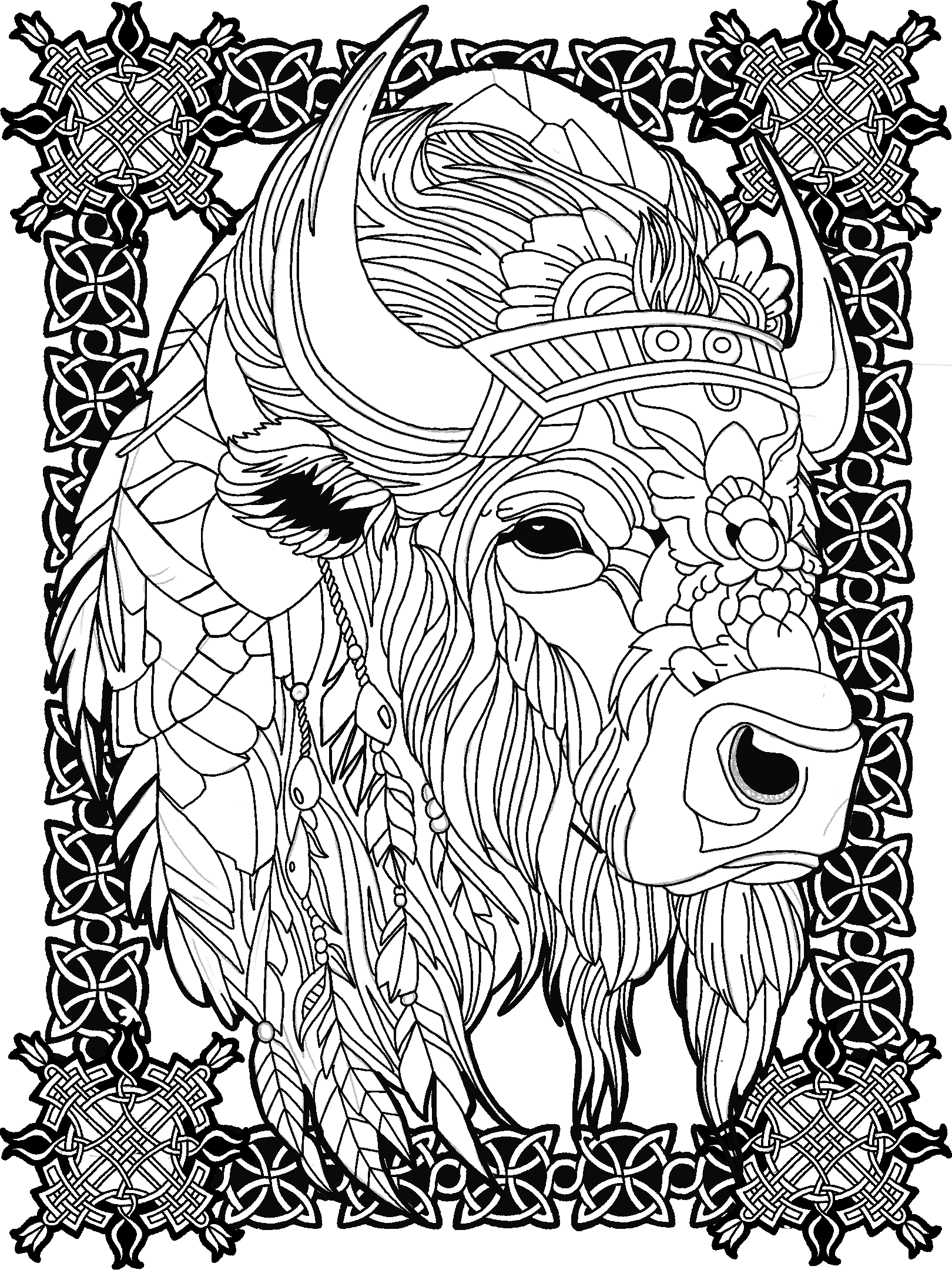 Bison