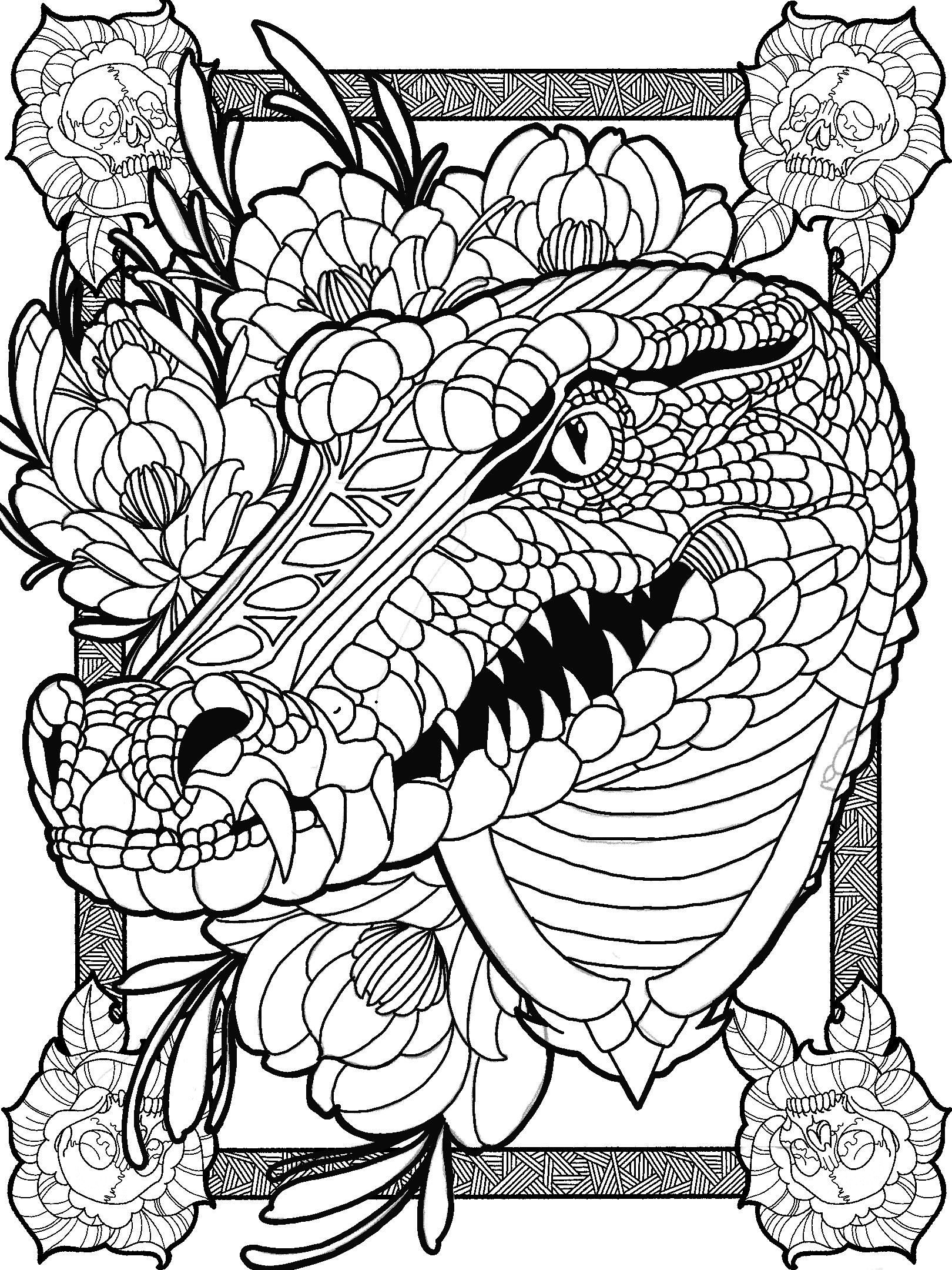 Gator