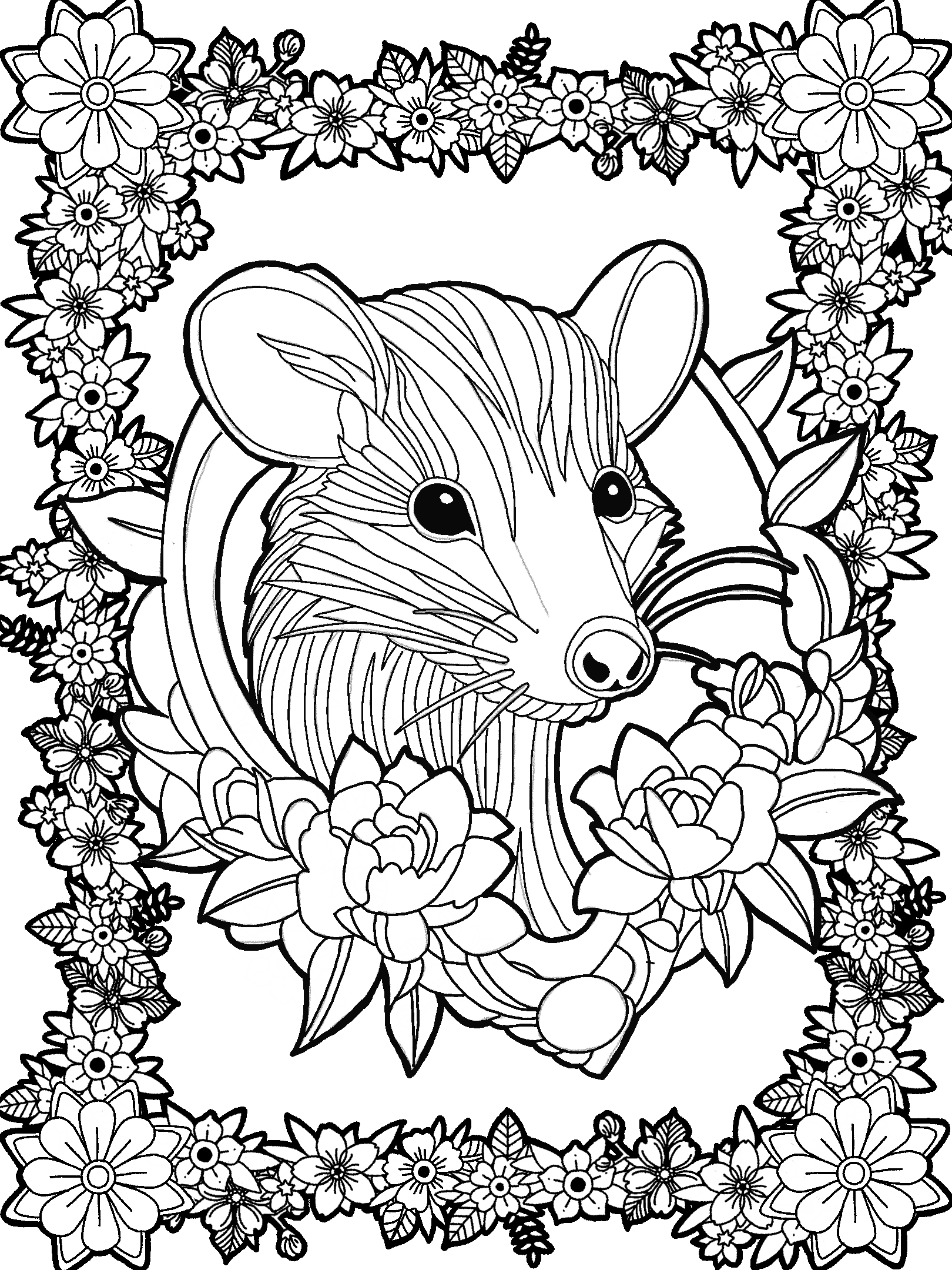 Opossum