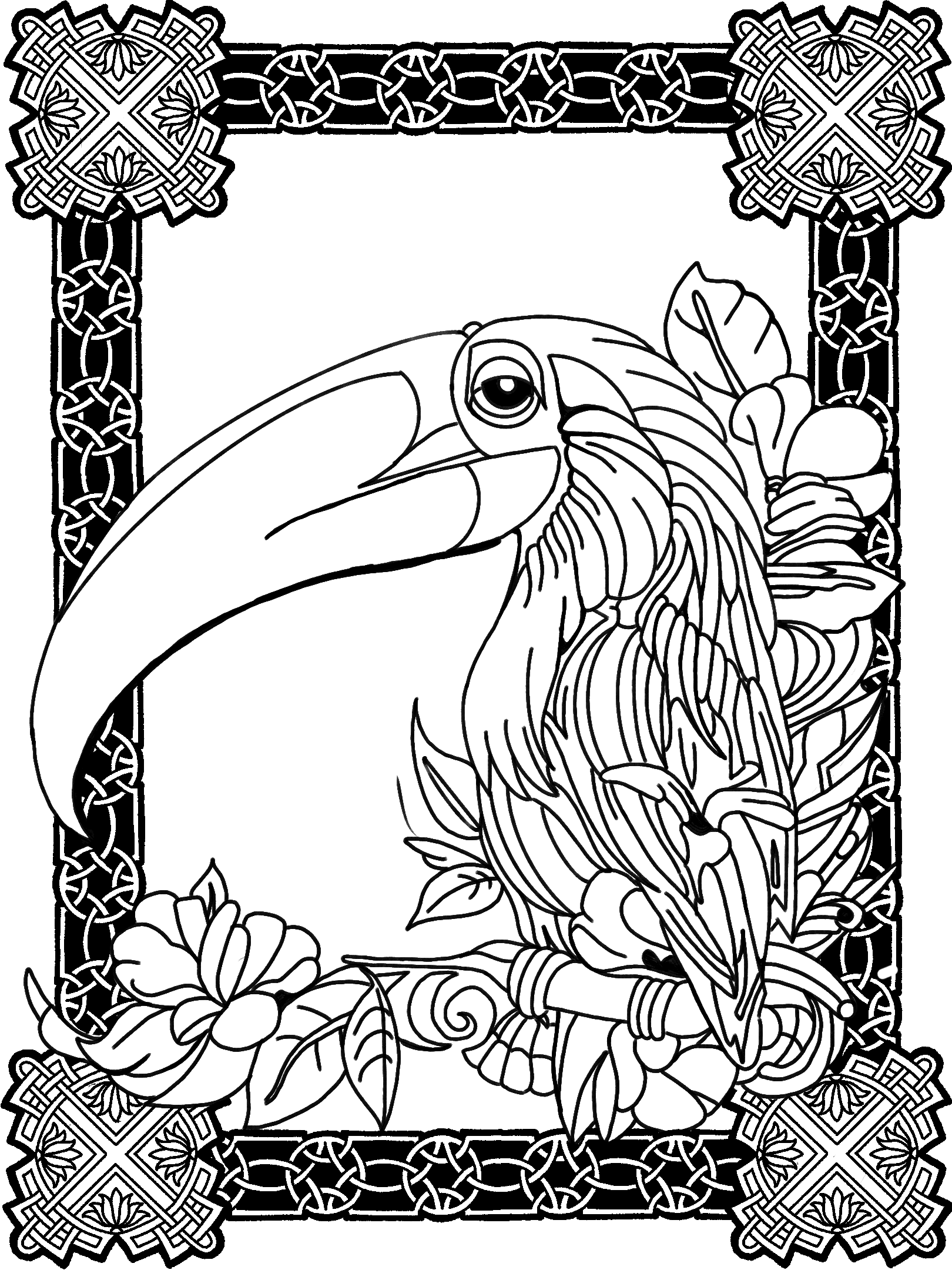Toucan No. 3