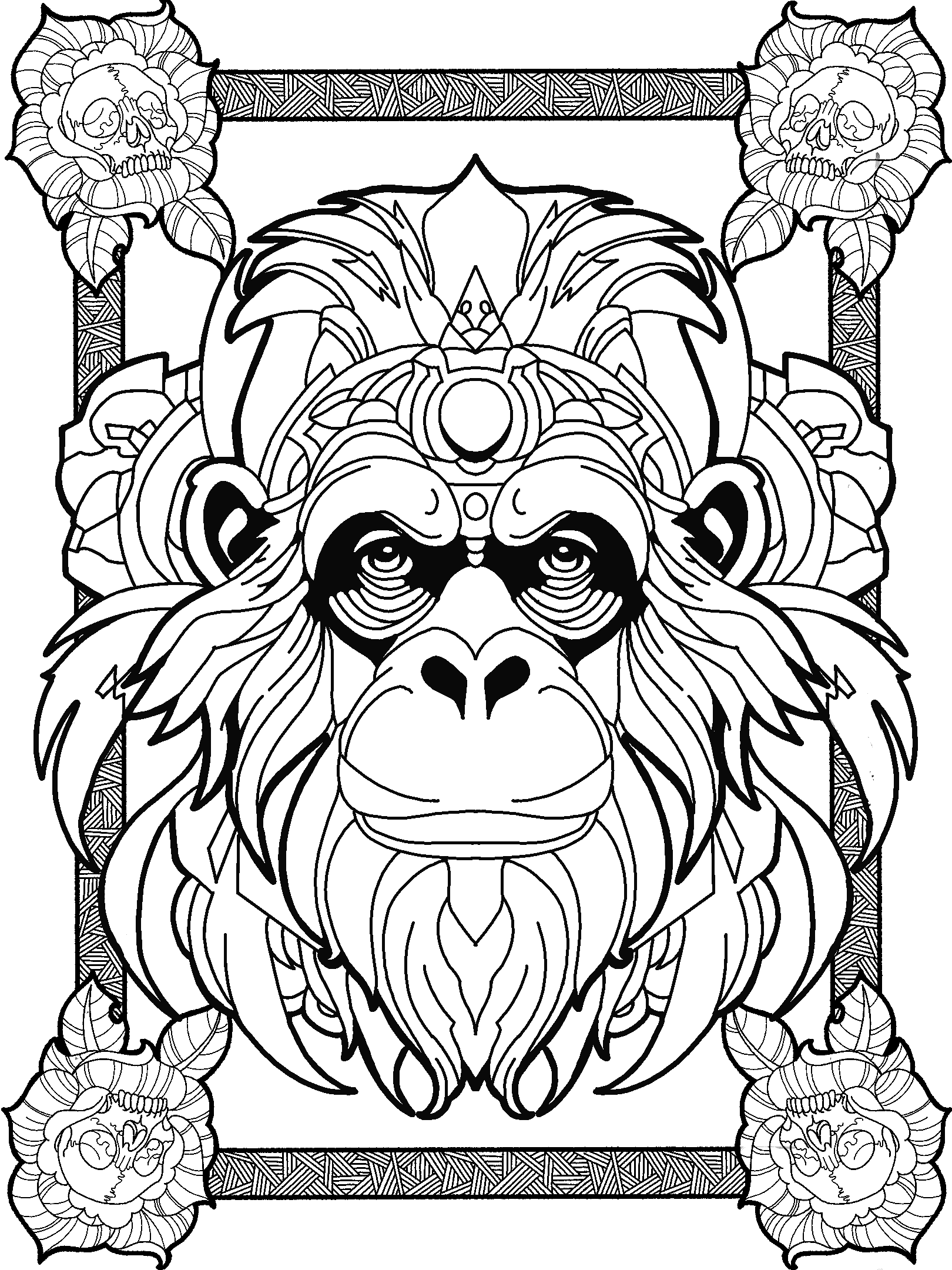 Chimp