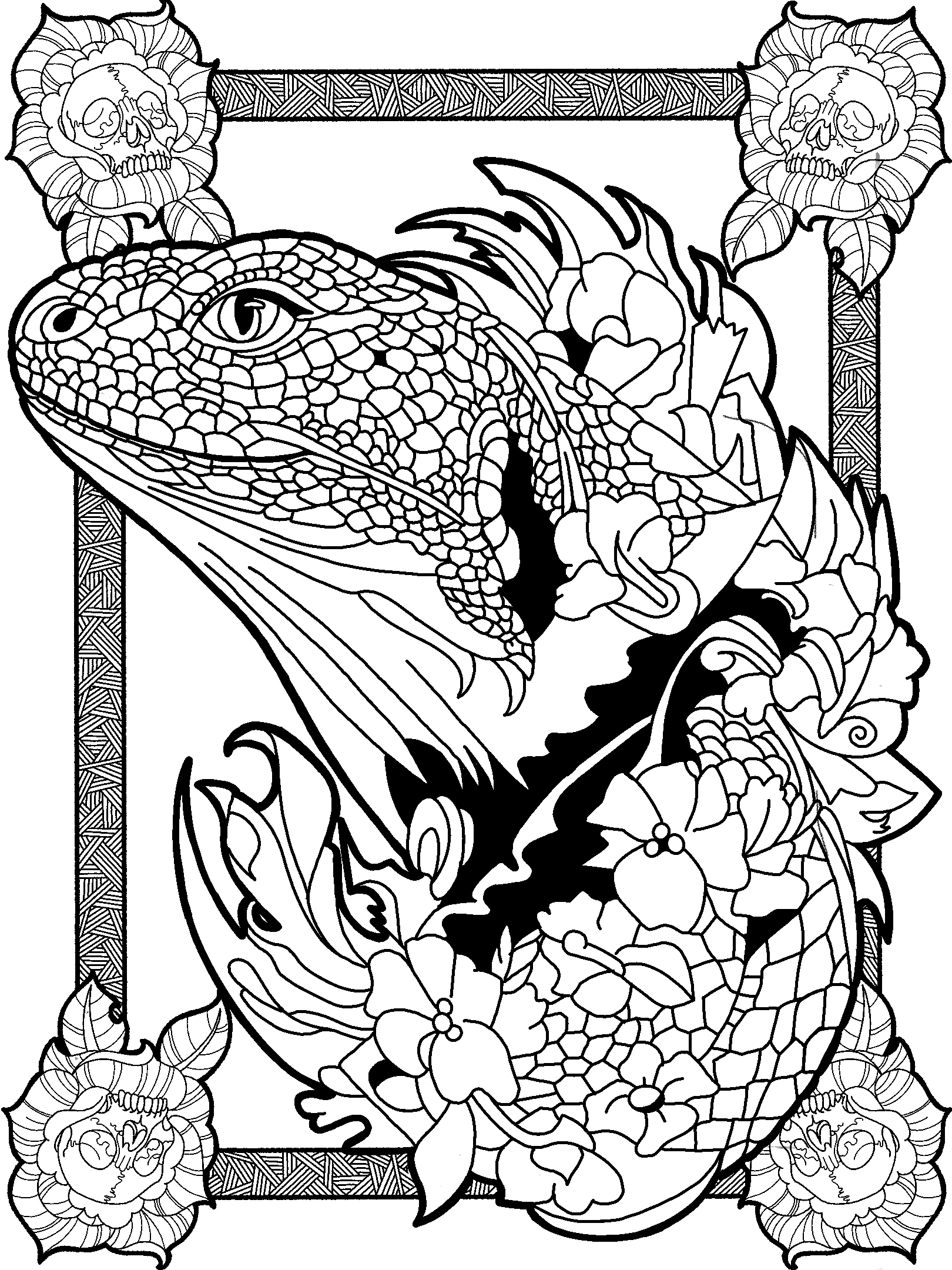Lizard