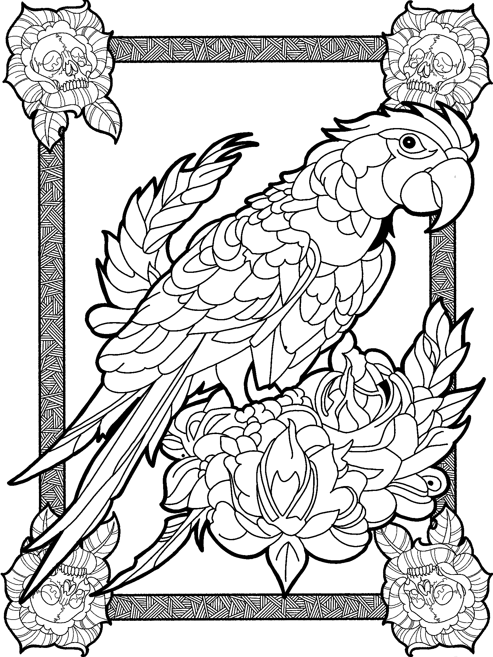 Parrot