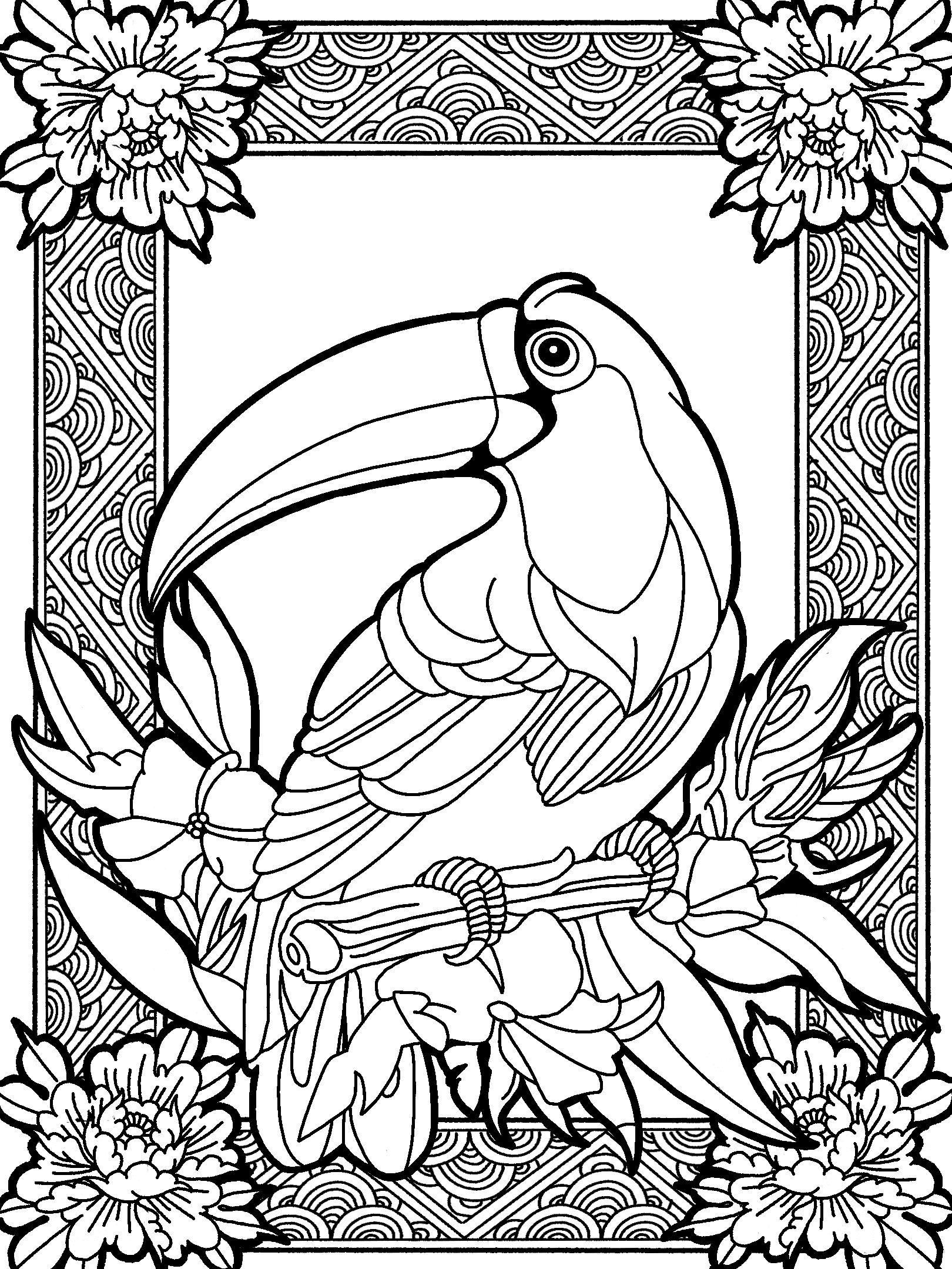 Toucan