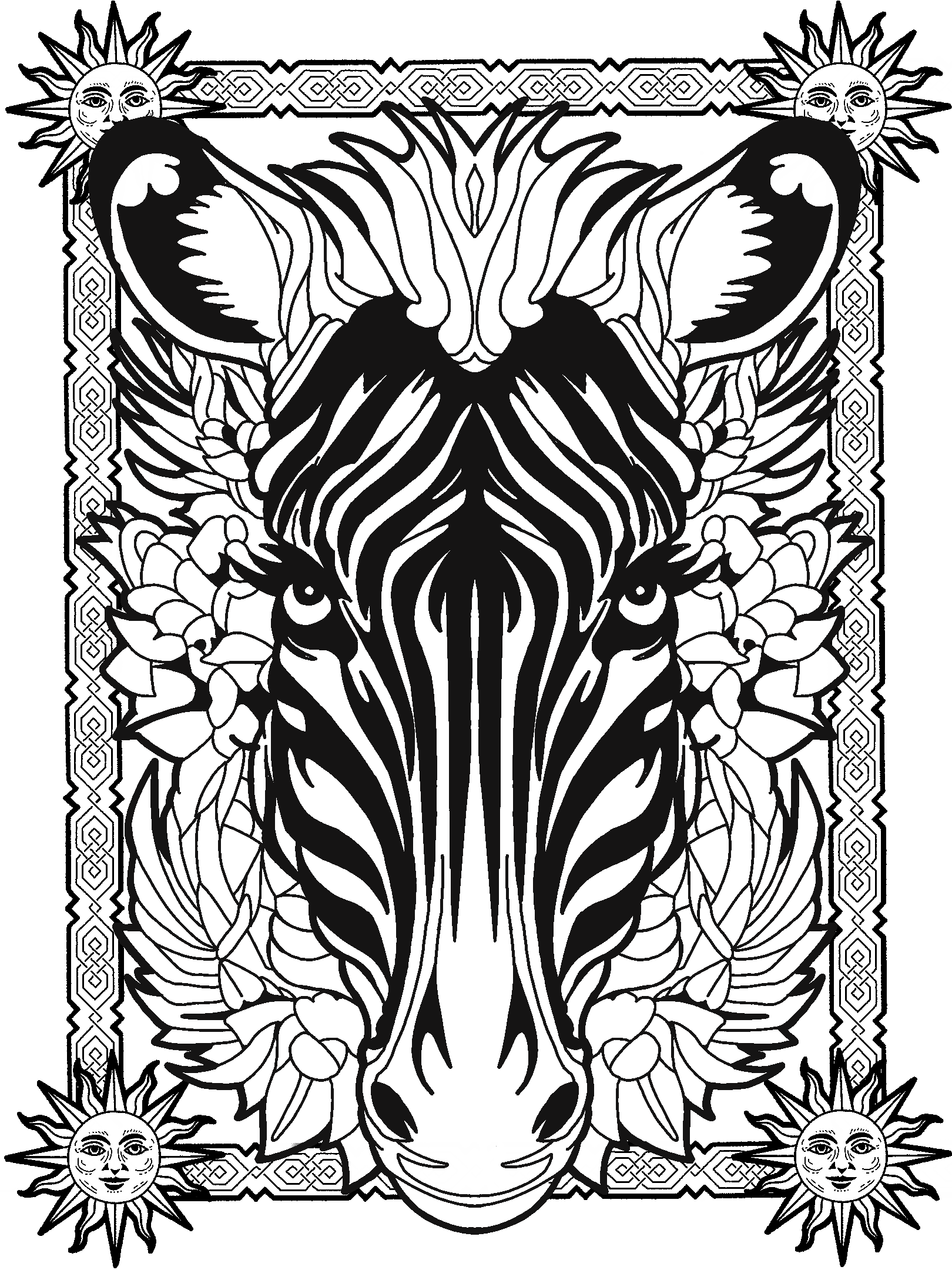 Zebra